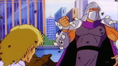 Teenage Mutant Ninja Turtles (1987) : Enter: The Fly'