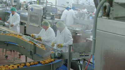 Inside the Factory : Fish Fingers'