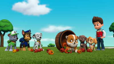 PAW Patrol : Pups Stop a Super Shaker/Pups Save a Flying Farmhouse'