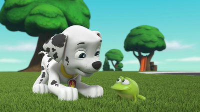 PAW Patrol : Pups Save a Show Jumper/Pups Save the Salmon'