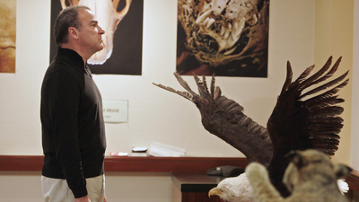 Criminal Minds : Dreiundsechzig'