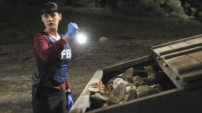 Criminal Minds : Am Ende des Tages, Teil 2'