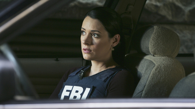 Criminal Minds : Der Reaper'