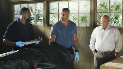 Criminal Minds : Der illustrierte Mann'