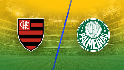 Brazil Campeonato Brasileirão Série A : Flamengo vs. Palmeiras'