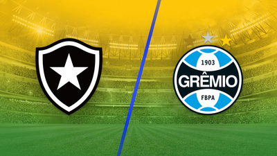 Brazil Campeonato Brasileirão Série A : Botafogo vs. Grêmio'