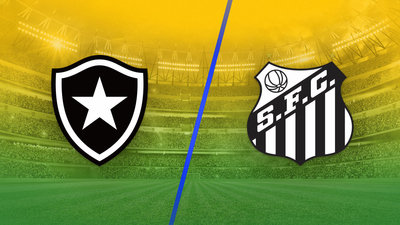 Brazil Campeonato Brasileirão Série A : Botafogo vs. Santos'