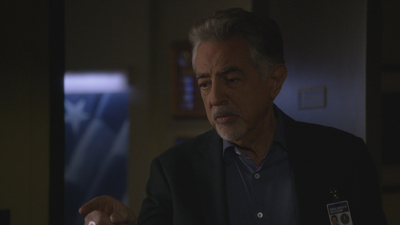 Esprits criminels : Parade nuptiale'