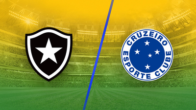 Brazil Campeonato Brasileirão Série A : Botafogo vs. Cruzeiro'