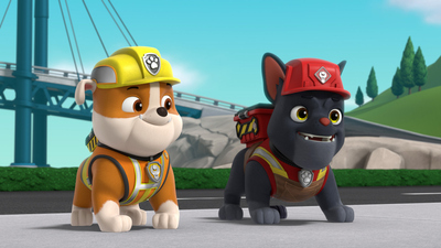 PAW Patrol : Charger Visits the Pups/Pups Save a Shiny Ride'