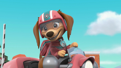 PAW Patrol : Liberty Makes a New Friend/Pups Save the Pup Pup Boogie Contest'