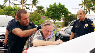 Hawaii Five-O : Vorbei ist vorbei'