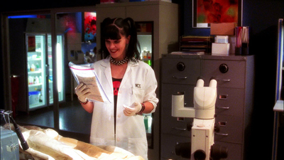 NCIS : O Guia da Boa Esposa'