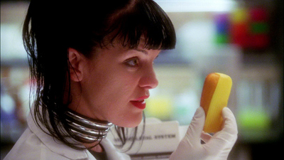 NCIS : Conducta modelo'