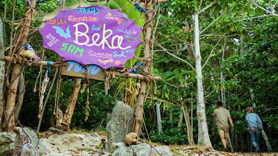 Survivor : Bob and Weave'