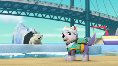 PAW Patrol: Patrulla de Cachorros : ¡Los cachorros salvan a una cachorra de oso polar! / ¡Los cachorros salvan un autocine!'