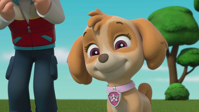 PAW Patrol: Patrulla de Cachorros : ¡Los cachorros acogen a un gatito fugitivo! / ¡Los cachorros salvan a una cabra de queso!'
