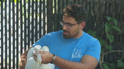 Extraordinary World With Jeff Corwin - Plastic Pollution and Pelicans