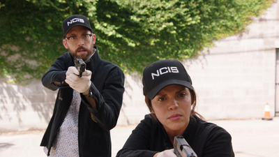 NCIS: New Orleans : Cães Pastores'
