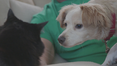 Lucky Dog: Reunions : Bean Reunion'