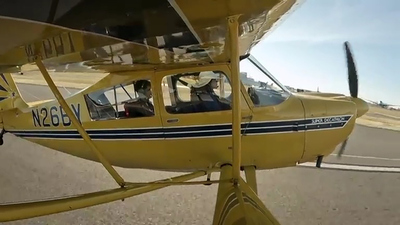 Mission Unstoppable - Aerobatics, Aggression, and Articulate Canines