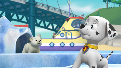 PAW Patrol : Pups Save a Windswept Polar Bear Cub/Pups Save a Drive-In'