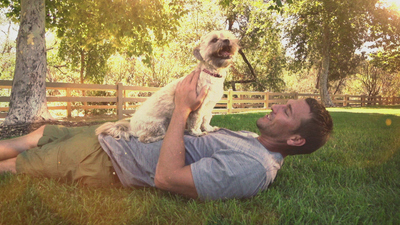 Lucky Dog: Reunions - Office Dogs