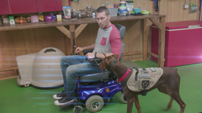 Lucky Dog: Reunions - Service Dogs