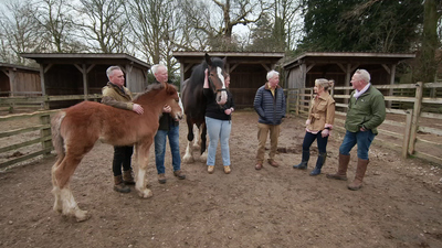 Springtime on the Farm - Watch on Paramount+ United Kingdom