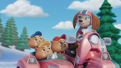 PAW Patrol: Patrulla de Cachorros : ¡Una Navidad de los Junior Patrollers!'