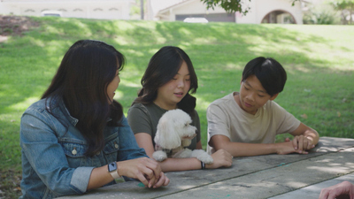 Lucky Dog: Reunions - Survivors