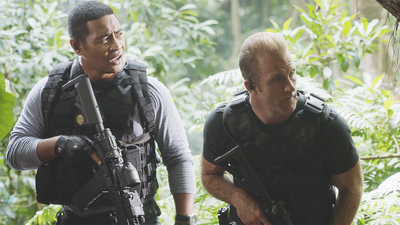 Hawaii Five-O : L'uomo che cadde dal cielo'