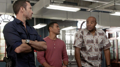 Hawaii Five-O : Artisti di strada'