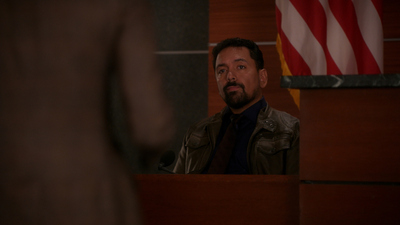 The Good Wife : Fantasie proibite'