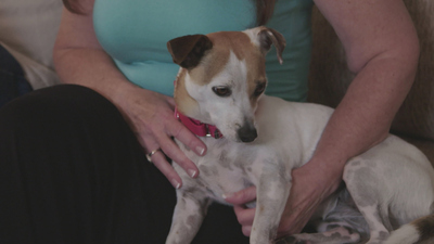Lucky Dog: Reunions - Hazel Reunion