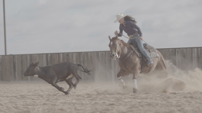 The Last Cowboy : Down the Fence'