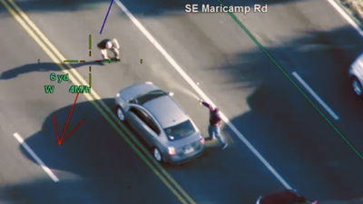 Chopper Cops : Domestic Disturbance'
