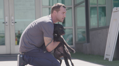 Lucky Dog: Reunions - The Road to Recovery