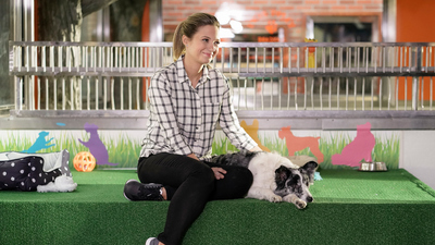 Blue Bloods : Extraños compañeros de cama'