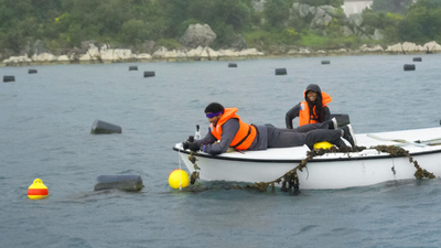 The Amazing Race - The System Hacked Me