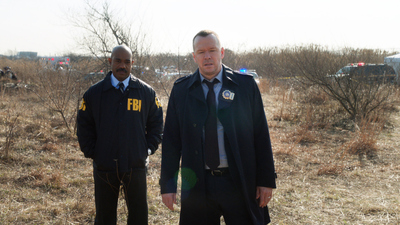 Blue Bloods : Tête brûlée'