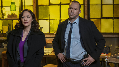 Blue Bloods : Grautöne'