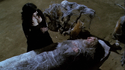 Hechiceras : Telarañas'