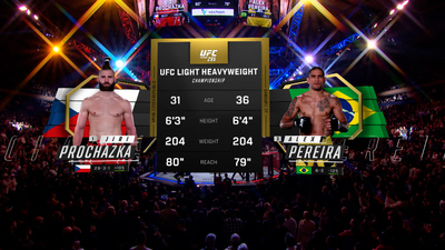 UFC : 295: Prochazka vs. Pereira Event Recap'