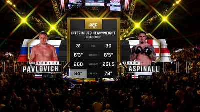 UFC : 295: Sergei Pavlovich vs. Tom Aspinall Main Card'
