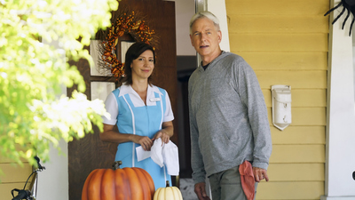 NCIS : Un mal despertar'