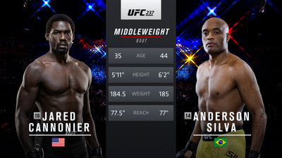 UFC 2010s : UFC 237: Jared Cannonier vs. Anderson Silva'