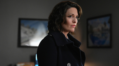 FBI : Tecido Cicatricial'