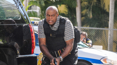 Hawaii Five-0 : Waiwai (Activos)'