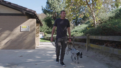 Lucky Dog: Reunions - Bella Reunion